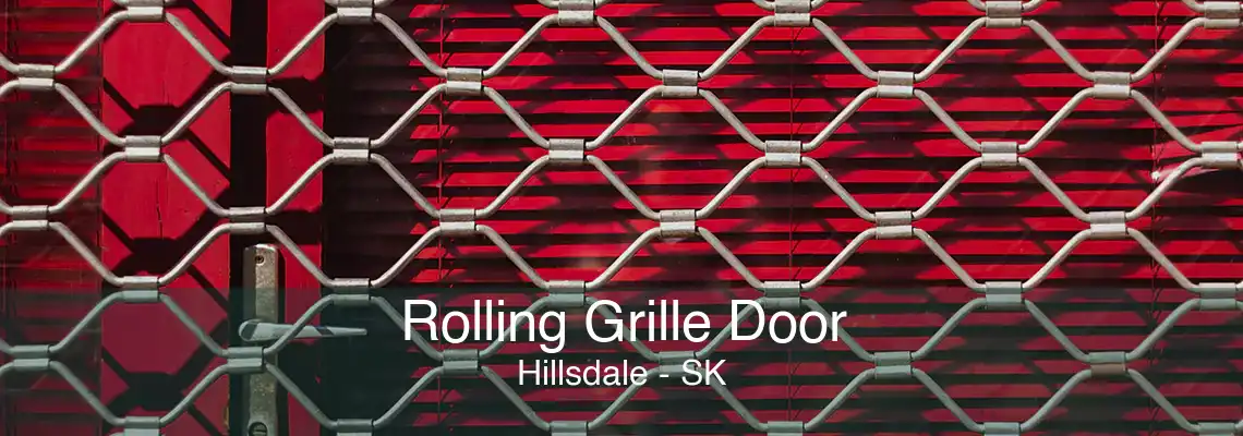 Rolling Grille Door Hillsdale - SK