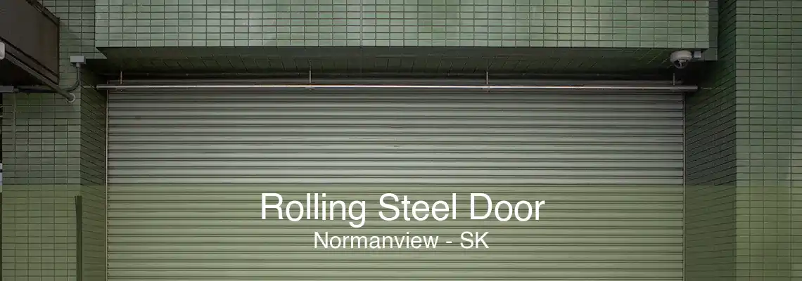 Rolling Steel Door Normanview - SK