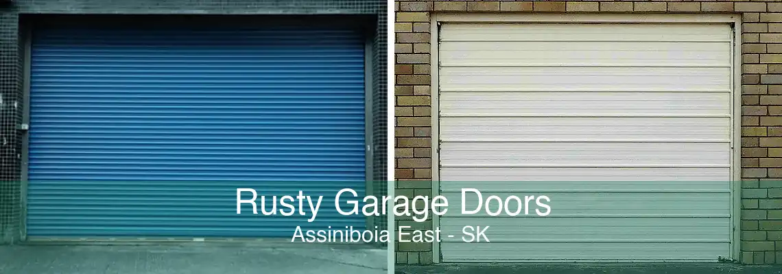 Rusty Garage Doors Assiniboia East - SK