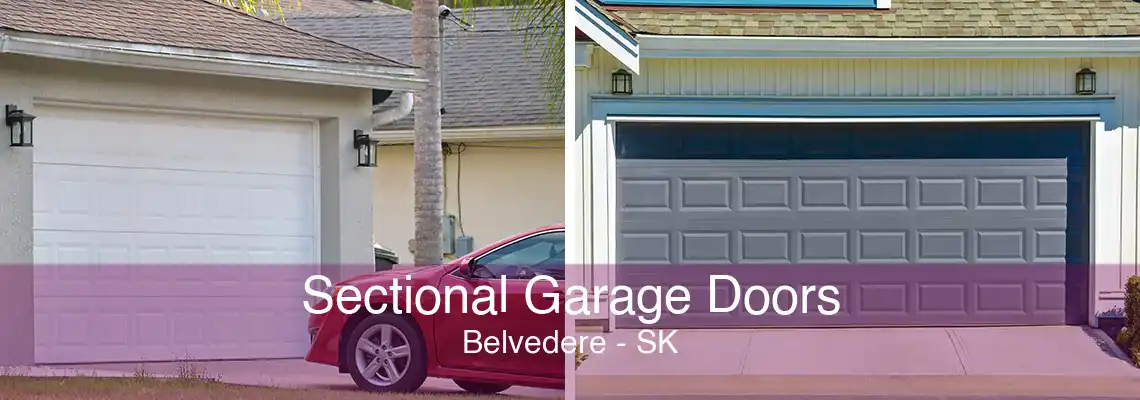 Sectional Garage Doors Belvedere - SK