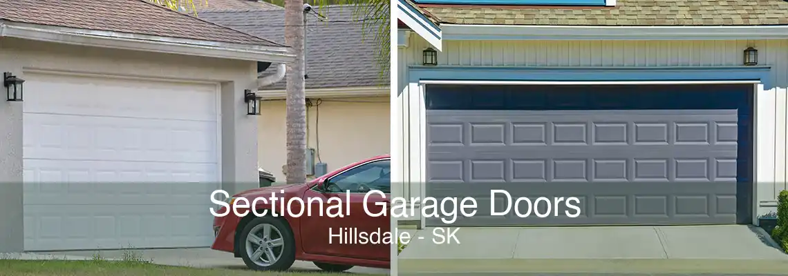 Sectional Garage Doors Hillsdale - SK