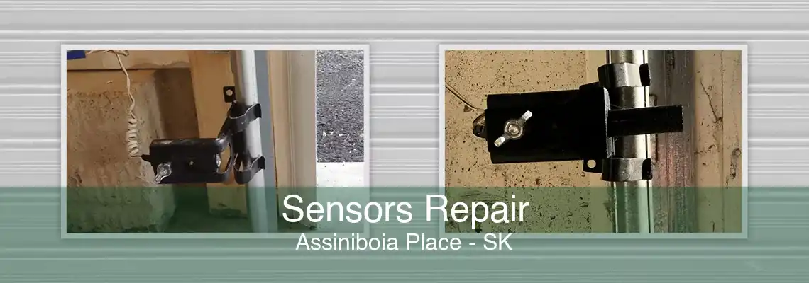 Sensors Repair Assiniboia Place - SK