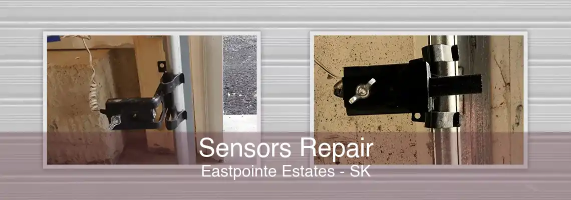 Sensors Repair Eastpointe Estates - SK