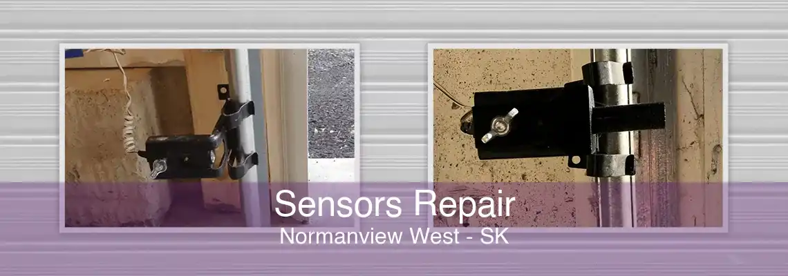 Sensors Repair Normanview West - SK