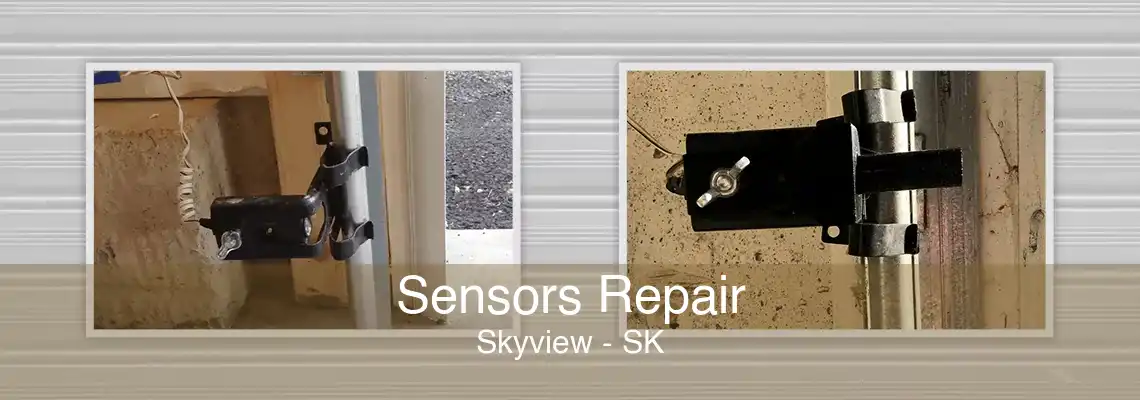 Sensors Repair Skyview - SK