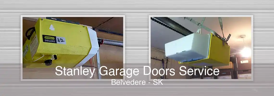 Stanley Garage Doors Service Belvedere - SK