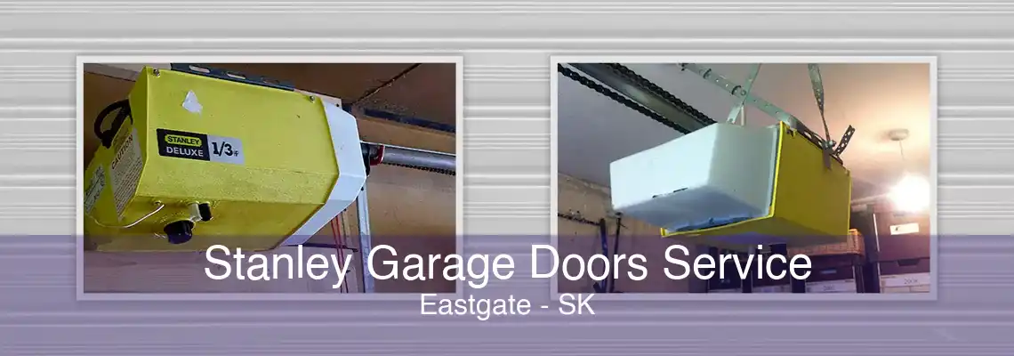 Stanley Garage Doors Service Eastgate - SK