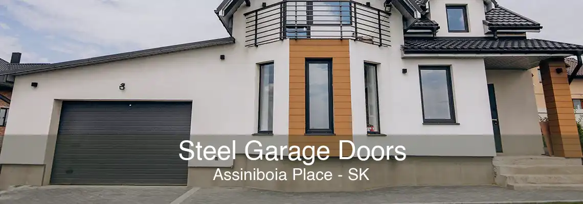 Steel Garage Doors Assiniboia Place - SK